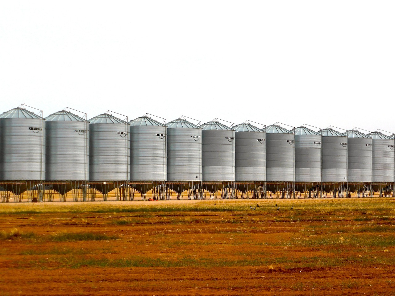 Silos de armazenagem de grãos no campo